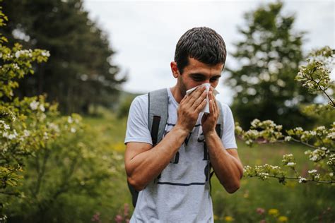 What Everyone Needs To Know About These 6 Environmental Allergies