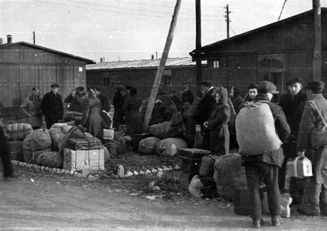 Digital Photograph New Arrivals Displaced Persons Camp F Germany