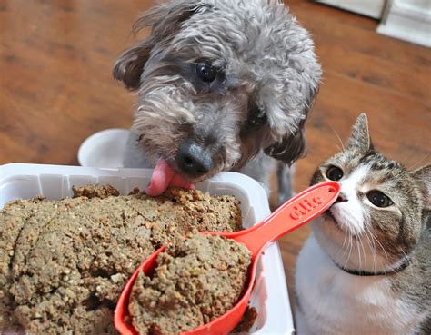 Fresh and raw food delivery for sydney's cats. Fresh Dog Food Delivery Service Review by Popular Pet ...