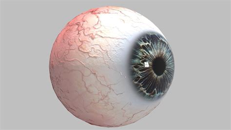 3d Model Photo Realistic Eye Vr Ar Low Poly Cgtrader