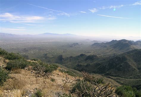 Landscape Of The Desert At Saguaro National Park Arizona Image Free