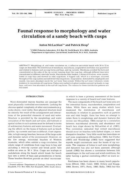 Pdf Faunal Response To Morphology And Water Circulation Of A Sandy Beach With Cusps