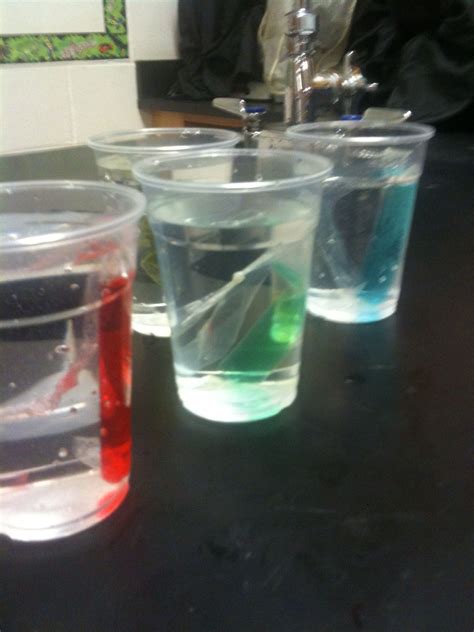 Simple Water Experiments To Explain Osmosis And Diffusion Science Lab