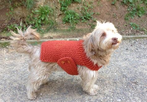 Knit your own dog is the perfect book for knitters and devoted dog lovers. How to Crochet A Dog Sweater: Tips And Tricks to Keep Your ...