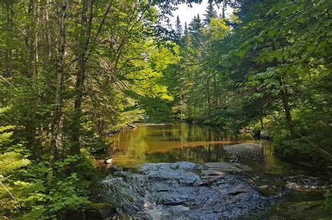 Parc national du Mont Mégantic Comité tourisme Haut saint François