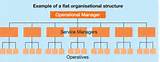 Organisational Structure Flat