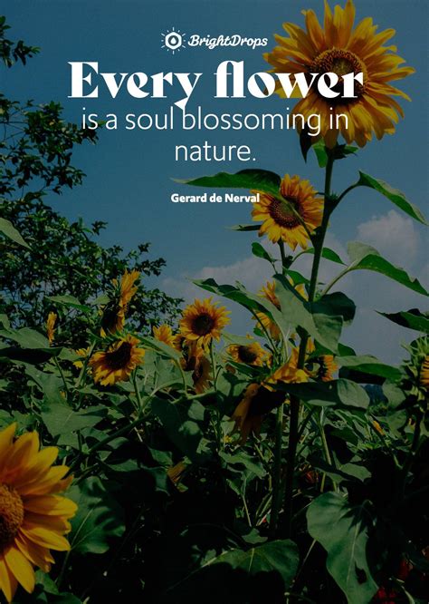 105 Inspirational Nature Quotes On Life And Its Natural Beauty