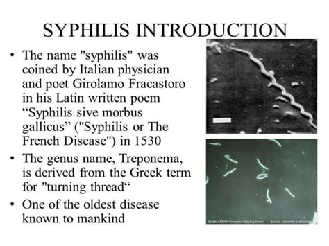 Sexually Transmitted Disease Syphilis