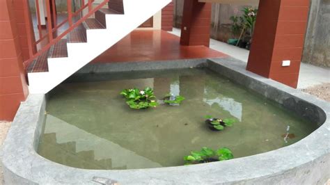Koi Pond filter
