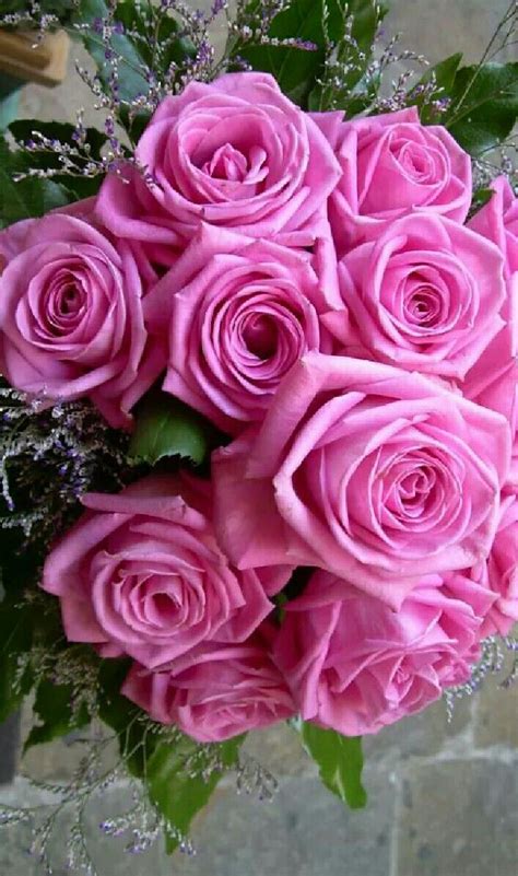 ~pink Roses Beautiful Rose Flowers Beautiful Flowers Corporate Flowers