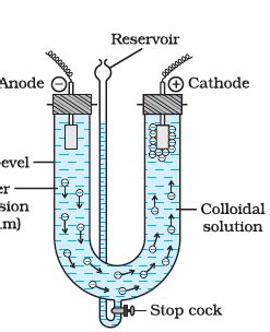 What does coagulation tests mean? Explain the following terms: (i) Electrophoresis (ii ...