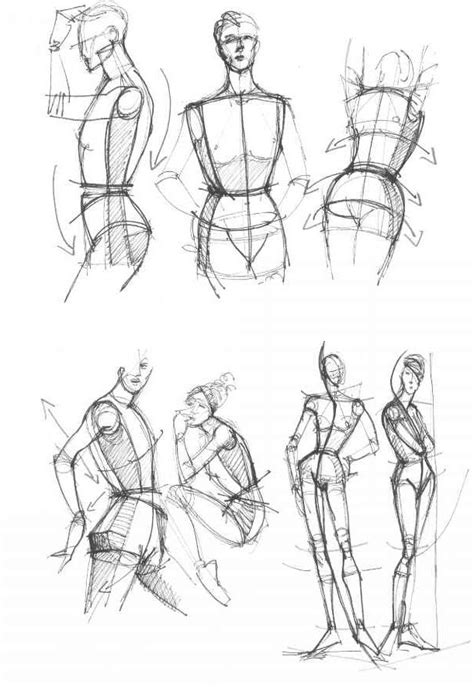 The Upper Body Figure Drawing Martel Fashion In Body Pose