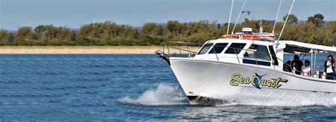 Gold Coast Bucks Party Private Fishing Charter Real Escapes
