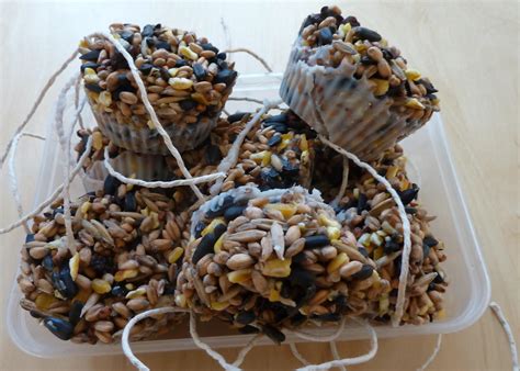 Make your suet, and you can personalize the ingredients to cater to the birds in your yard or anyone you like. 2 Universal Homemade Bird Food Recipes | Birdcage Design Ideas