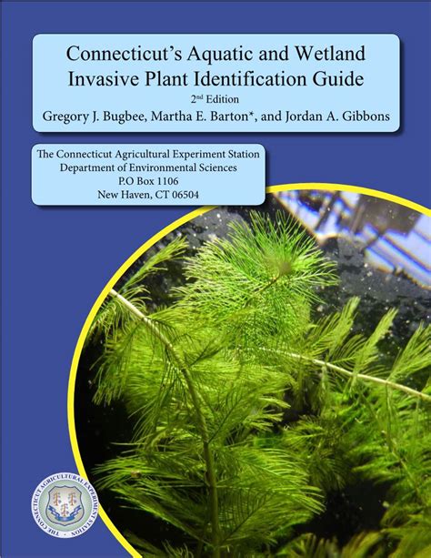 Connecticut S Aquatic And Wetland Invasive Plant Identification Guide DocsLib