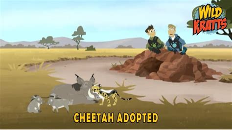 Wild Kratts Season 4 Episode 23 | Cheetah Adopted | Watch on Kodi