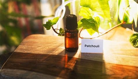 6 Health Benefits Of Patchouli Essential Oil