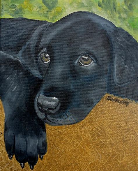 Sad Eyes Black Lab Puppy Dog Painting By Julie Brugh Riffey