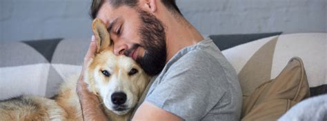 Will my dog still be able to do the things he/she enjoys. What to Do When Your Dog Dies | Purina