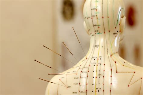 Acupuncture Works By Re Wiring The Brain Evidence Suggests