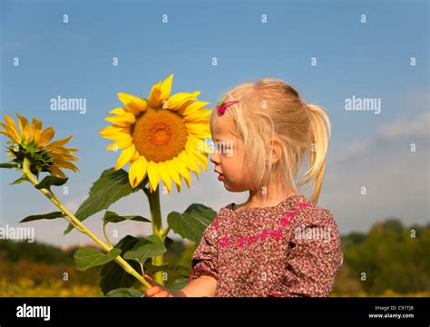 Girl Holding Sunflower Outdoors Stock Photo Alamy