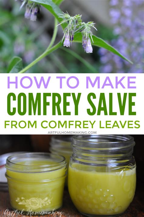 Make Your Own Comfrey Salve Recipe Comfrey Salve Herbalism Herbal