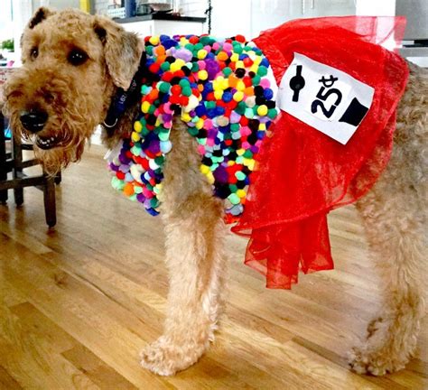 Diy Halloween Costumes For Dogs My Life And Kids Dog Halloween