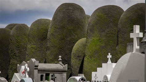 Cemeteries From Around The World