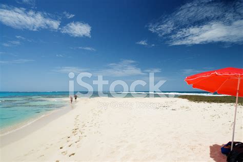 Tropical White Sand Beach Stock Photo Royalty Free Freeimages