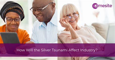 Amesite How Will The Silver Tsunami Affect Industry
