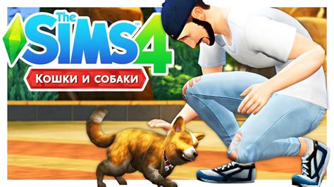 ДРАКА С БЕЛКОЙ 🐾the Sims 4 Кошки и собаки 8 Youtube