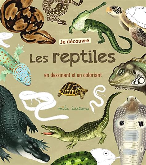 Je Découvre Les Reptiles En Dessinant Et En Coloriant Bibliopolis