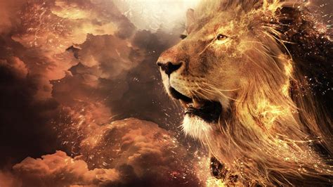 Lion Pictures Wallpapers Wallpaper Cave