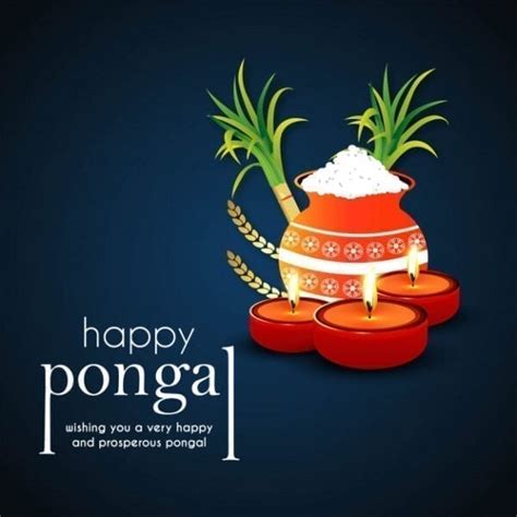 Happy Pongal 2021 Wishes Quotes Status And Messages With Images