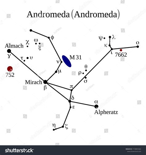 Andromeda Star Group Andromeda Constellation Illustration Stock Vector Royalty Free