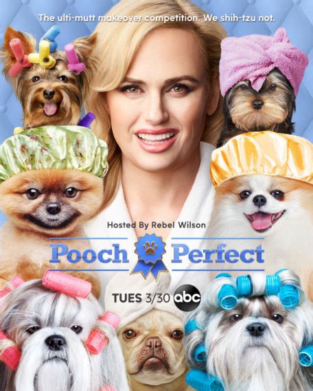 Pooch Perfect How Well Does Rebel Wilson Know Her Dog Breeds Video