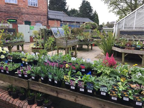 If you are a resident of another country or region,. Plants for Sale - Garden Shop - Birmingham Botanical Gardens