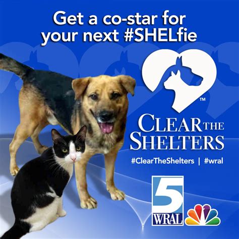 Clear The Shelters The Animal Protection Society Of Durham