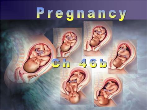 ppt pregnancy powerpoint presentation free download id 655514