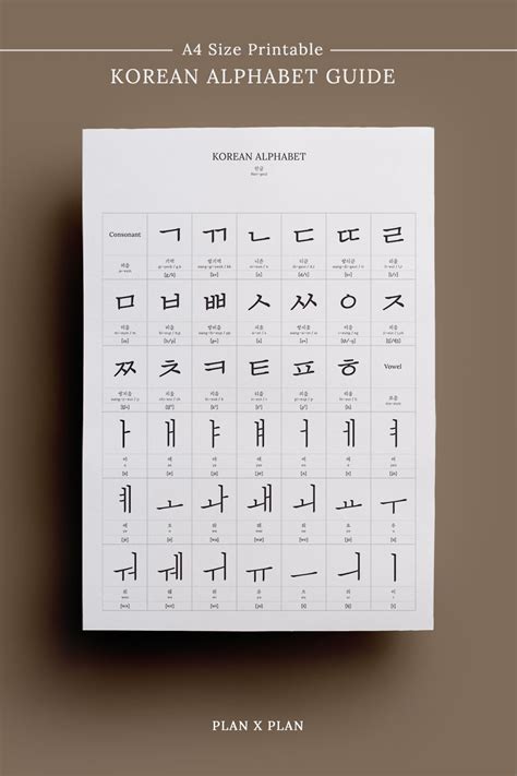 The Korean Alphabet Guide Has Easy To Organize Very Basic Information