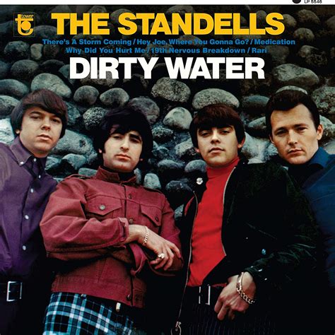 The Standells Interview With Larry Tamblyn Its Psychedelic Baby Magazine