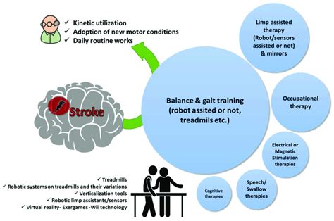 Physiotherapy Goals In Patients With Stroke A Qualitative Infographic