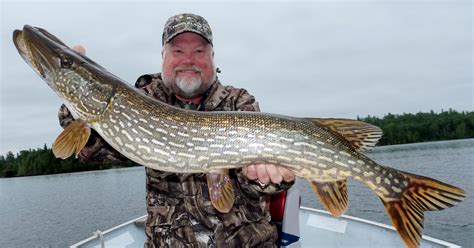 Tips For Catching Big Northern Pike