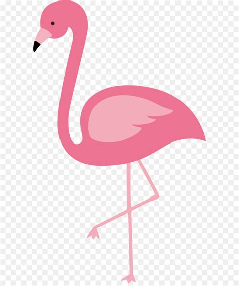 Pink Flamingo Vector At Getdrawings Free Download