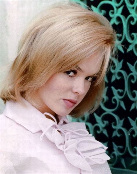 joey heatherton american sex symbol of the 1960s and 1970s ~ vintage everyday