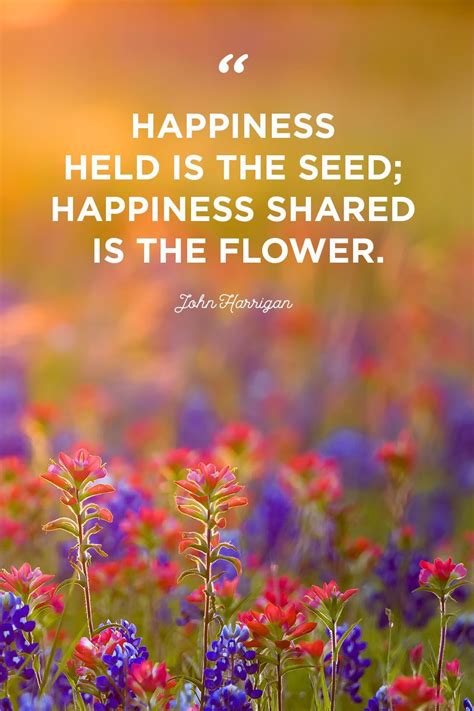 Flower Quotes To Inspire Growth Flower Quotes Inspirational