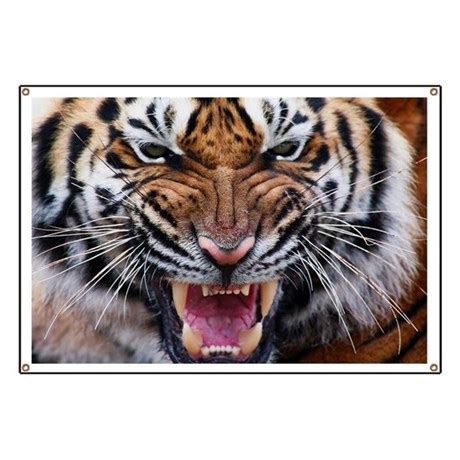 The term big cat is typically used to refer to any of the five living members of the genus panthera, namely the tiger, lion, jaguar, leopard, and snow leopard. Big Cat Tiger Roar Banner by CarolinaSwagger