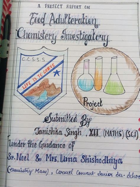 Chemistry Investigatory Project For Class 12 Made By Tanishka Singh Very Easy Beautiful Pencil