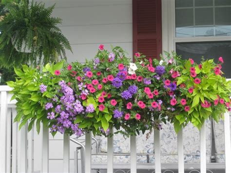 Deck rail brackets convert window boxes into railing planters. Venture away from your window, and add a flower box to ...