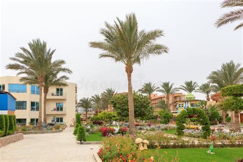 Jardín Egipcio Con Las Flores En Complejo Playero De La Gaviota Del